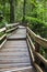 Steps on the Jindalba Boardwalk, Daintree National Park