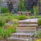 Steps in a landscaped garden on a sunny day