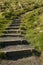 Steps leading up the grassy hill