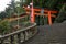 The steps leading up to the entrance of Kumano Hayatama Taisha shrine. Wakayama. Japan