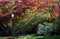 Steps with metal railing and lamp post with lush colorful autumn trees and foliage