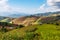 Steps rice field