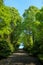 Steps shaded by trees in the Chongqing Air Force Anti-Japanese War Memorial Park