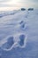 Steps in snow