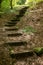 Steps stairs path up in forest climb wooden old steps