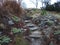 Steps with stones, stone stitches, fabulous stairs, castle, magic place