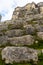 Steps to the old mayan pyramid. Ancient archaeological site of Muyil. Travel photo. Yucatan. Quintana roo.