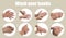 Steps of washing hands effectively. Collage with man on beige background