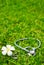 Stethoscope and flower on grass