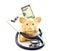 Stethoscope, piggy bank and banknotes 2