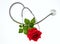 Stethoscope and red rose with green leaves on white background, top view