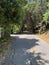 Stevens Creek Trail