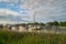 Steveston Marina and Bulrushes