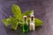 Stevia essence and globule