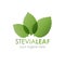 Stevia leaf logo illustration. Logotype with three green stevia leaves.