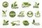 Stevia leaf and sweetener herbal extract icons