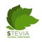 Stevia natural sweetener green leaf with inscription near, logotype design