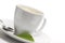 Stevia plant and coffee cup