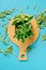 Stevia rebaudiana. Fresh stevia twig in round bowls on a wooden board and dry scattered stevia leaves on a blue