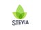 Stevia rebaudiana logo icon. Stevia leaf vector logo badge label plant natural extract. Herbal organic icon.