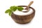 Stevia rebaudiana, sweet leaf sugar substitute isolated in wooden bowl on white background