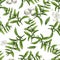 Stevia. Seamless botanical pattern