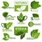 Stevia sweetener sugar substitute vector healthy product icons and labels