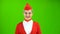 Stewardess in a red suit takes off her sunglasses. Green Screen