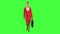 Stewardess walks with a briefcase in her hands. Green screen