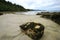 Stewart island beaches