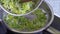 Stewing leek slices in a frying pan on a hot plate