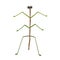 Stick Insect standing on two legs animal cartoon character vector illustration