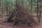 Stick shelter in the forest a wigwam style hut or den made by kids playing outside