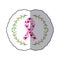 Sticker arch of leaves with ribbon pink symbol of breast cancer with hearts