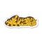 sticker of a cartoon resting tiger