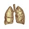 Sticker of human lungs. Vintage anatomy engraving sketch organ isolated on white background. Good idea for design retro