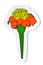 Sticker of orange tagetes flower on stem in flat cartoon style isolated on white background