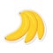 Sticker. Ripe banana clipart icon. flat vector illustration.