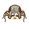 Sticker spider isolated â€“ with coin