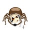 Sticker spider isolated â€“ with music