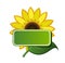 Sticker and sunflower