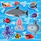 Sticker templates with sea animals underwater