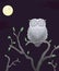 Sticker wild gray owls at night with the moon on a flowering branch.