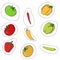 Stickers for children vegetables. Pepper and tomato vector.