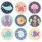 Stickers collection with cute sea animals