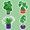 Stickers collection with potted house plants