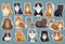 Stickers with small breed cats for children, Very cute, vector graphics