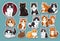 Stickers with small breed cats for children, Very cute, vector graphics