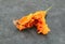 Sticky red seeds revealed inside an overripe orange bitter gourd