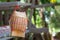 Sticky rice basket container from bamboo hanging on wooden with nature background. Space for text